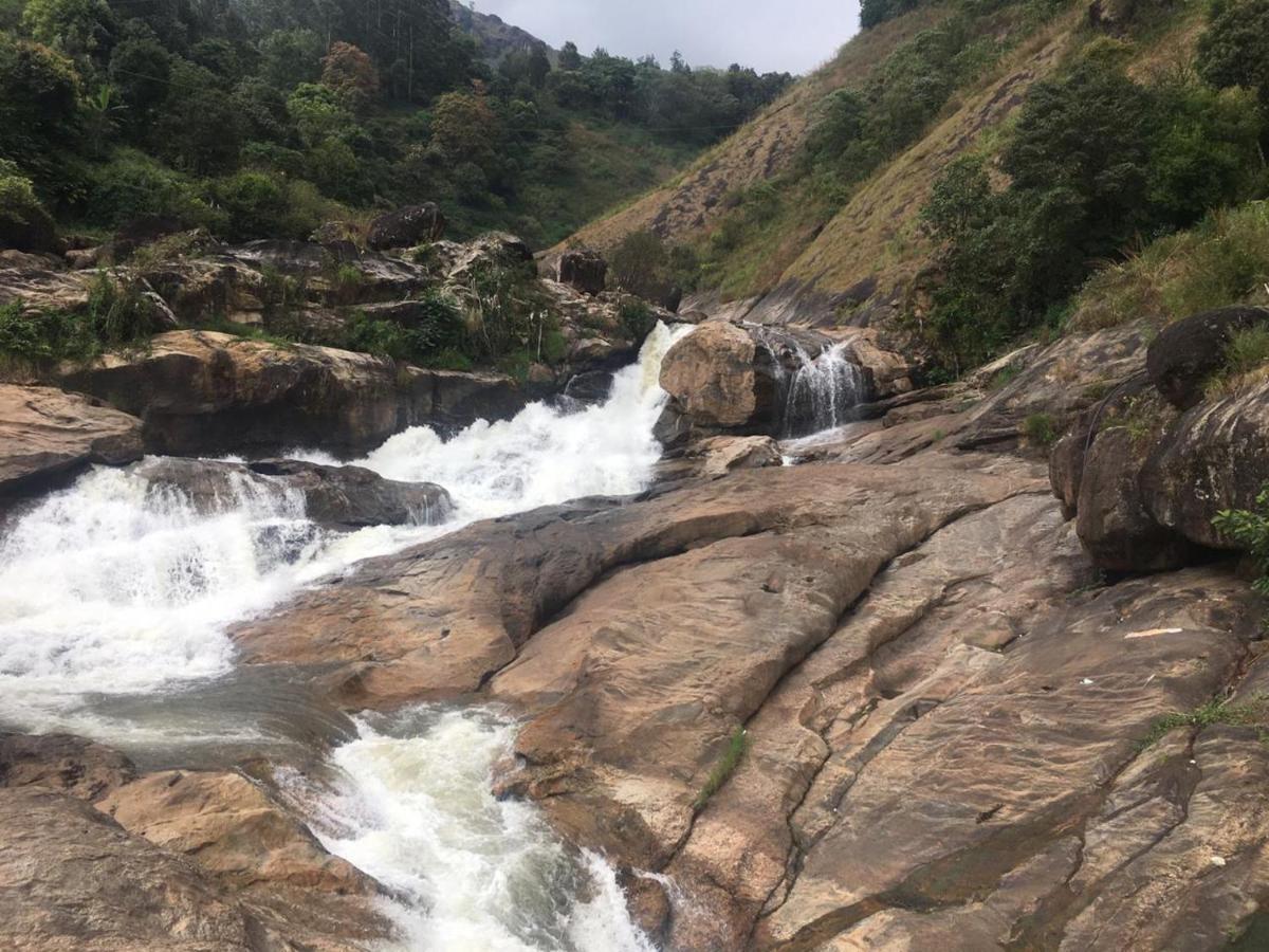 Greenpepperhomestay Munnar Anaviratty Ngoại thất bức ảnh