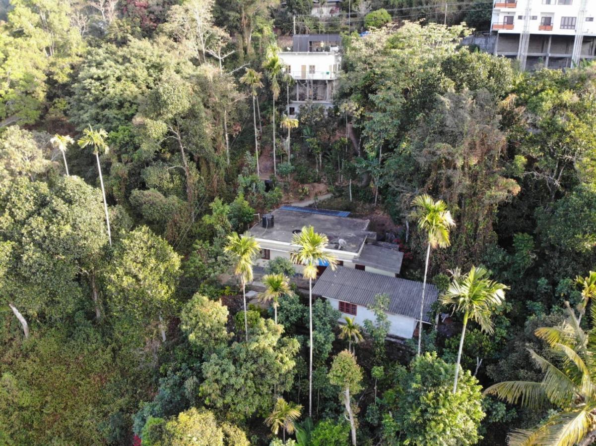 Greenpepperhomestay Munnar Anaviratty Ngoại thất bức ảnh